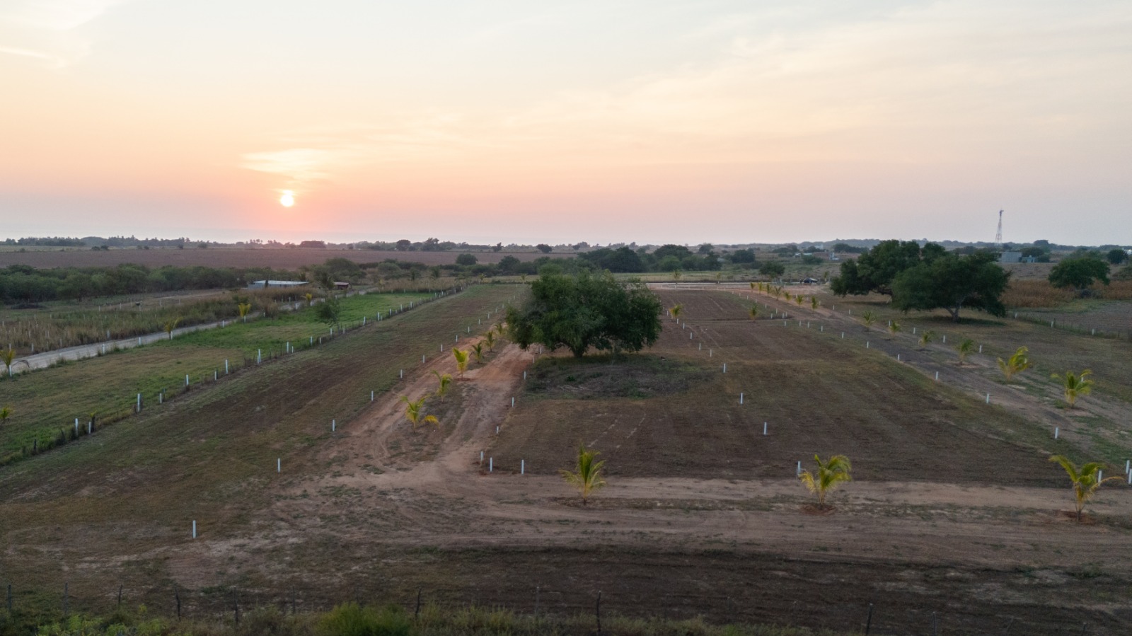 TERRENOS EN VENTA EN PUERTECITO, PUERTO ESCONDIDO , OAXACA